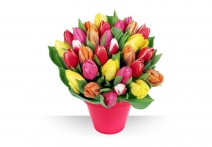 bouquet de tulipes