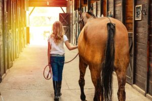 Education du cheval à Chantilly
