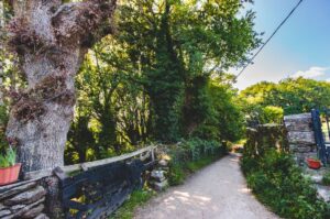 Chemin de Saint Jacques de Compostelle