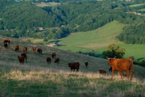 Aurillac