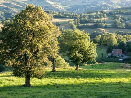 Aurillac