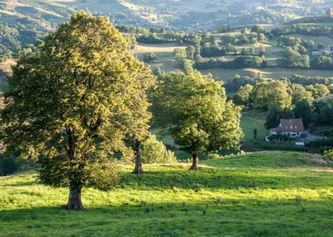 Aurillac