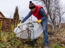 Jardinage en hiver