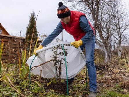 Jardinage en hiver