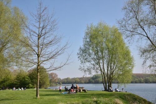 Lac du Héron